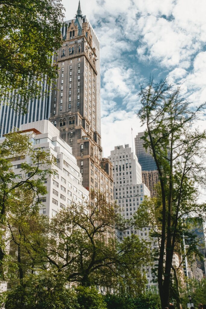 central park new york